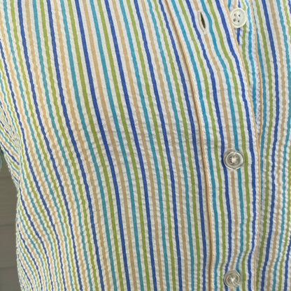 Vintage American Sweetheart Striped Button Up